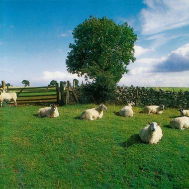 The KLF -  Chill Out